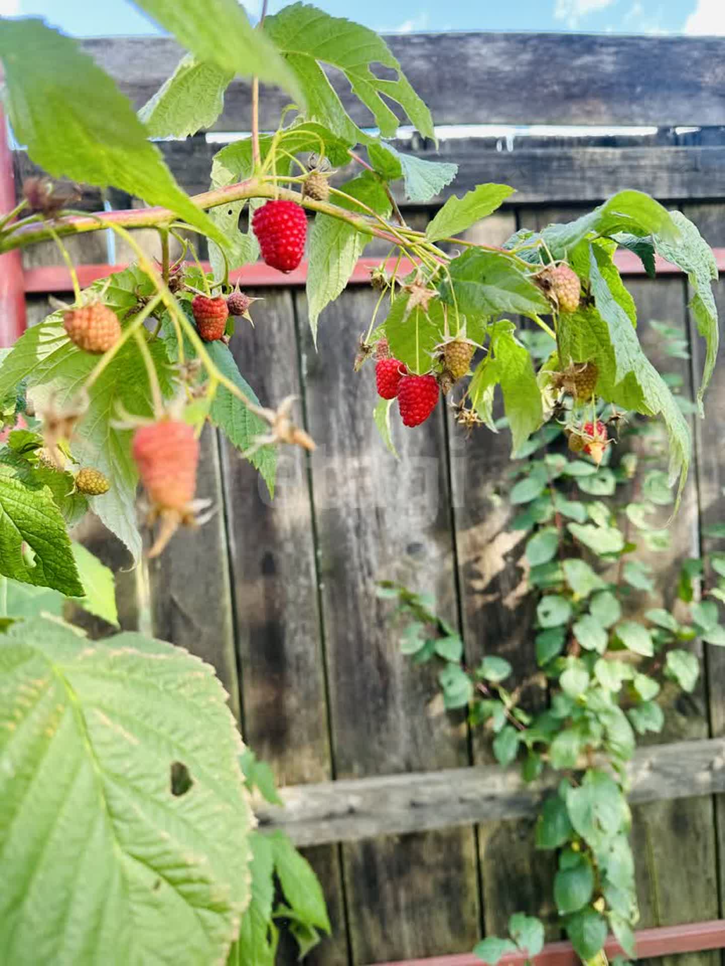 Продажа дома, 60м <sup>2</sup>, 6 сот., Южно-Сахалинск, Сахалинская область,  Южно-Сахалинск