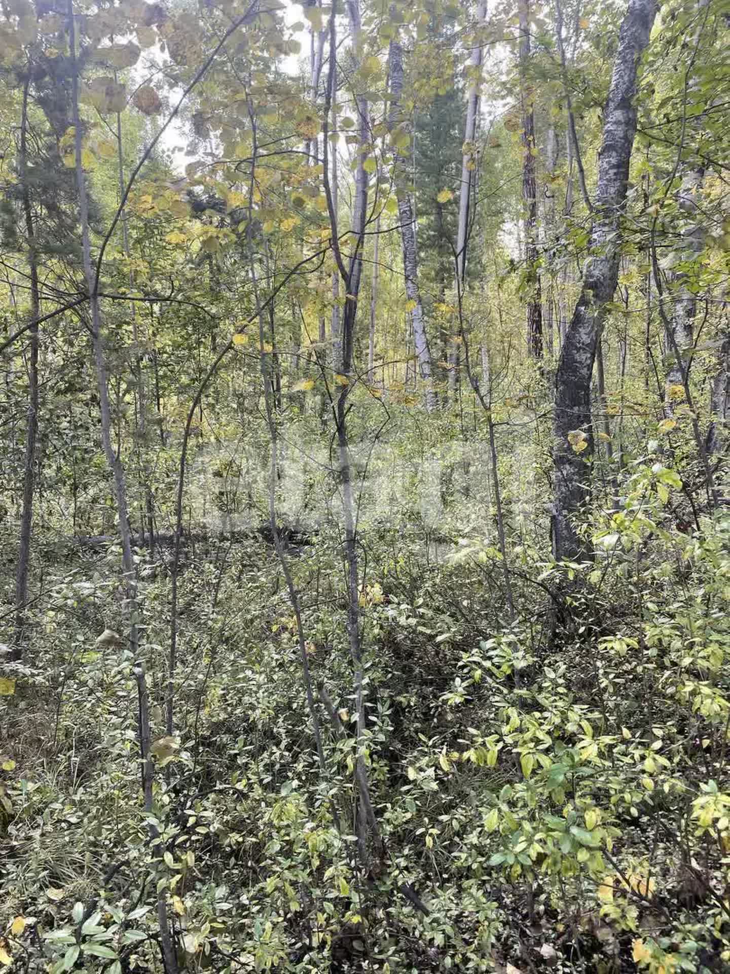 Продажа участка, Улан-Удэ, Республика Бурятия,  Баргузинский