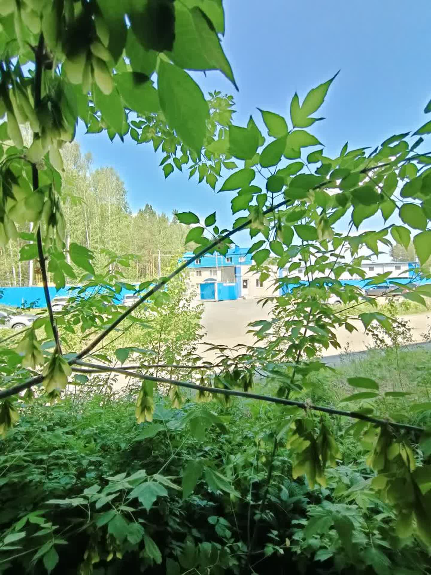 Аренда коммерческой недвижимости, 86м <sup>2</sup>, Миасс, Челябинская область,  Миасс
