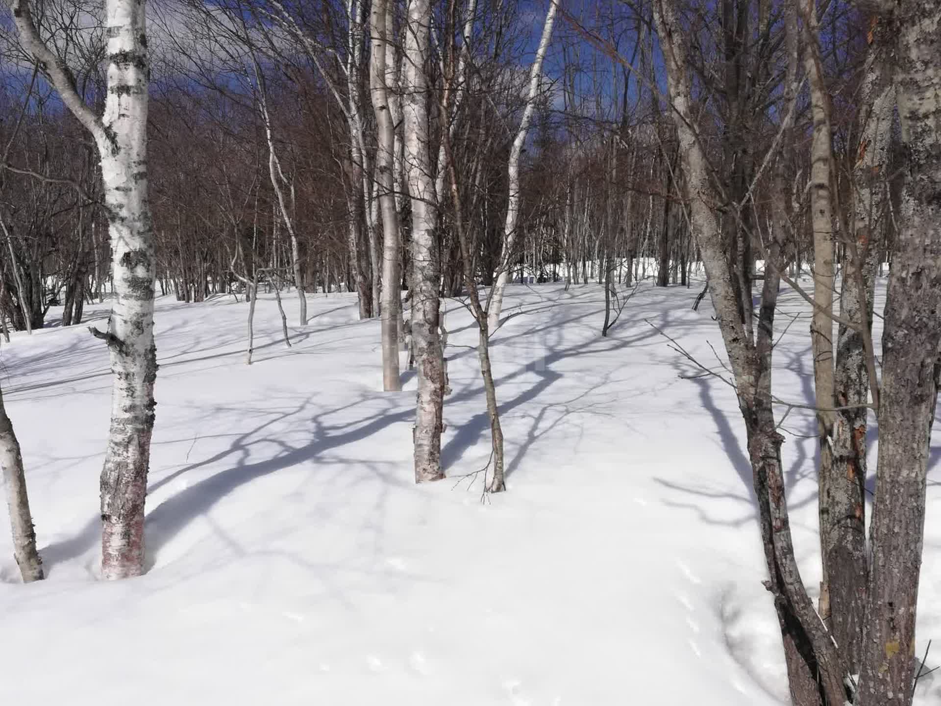 Продажа участка, Южно-Сахалинск, Сахалинская область,  Южно-Сахалинск