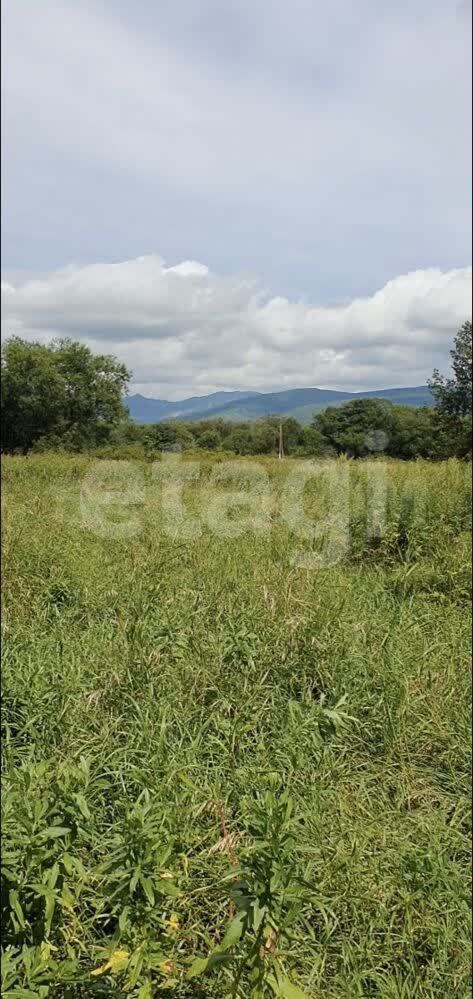 Продажа коммерческой недвижимости, 418м <sup>2</sup>, Южно-Сахалинск, Сахалинская область,  Южно-Сахалинск