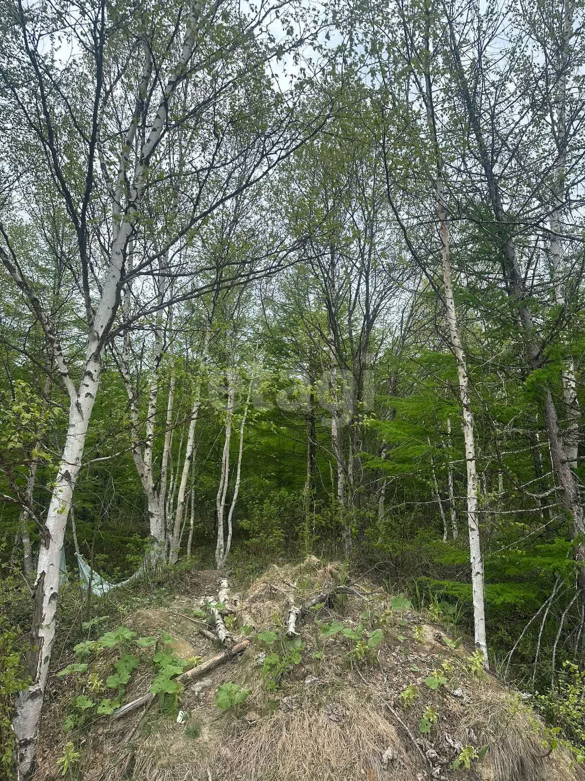 Продажа участка, Южно-Сахалинск, Сахалинская область,  Южно-Сахалинск