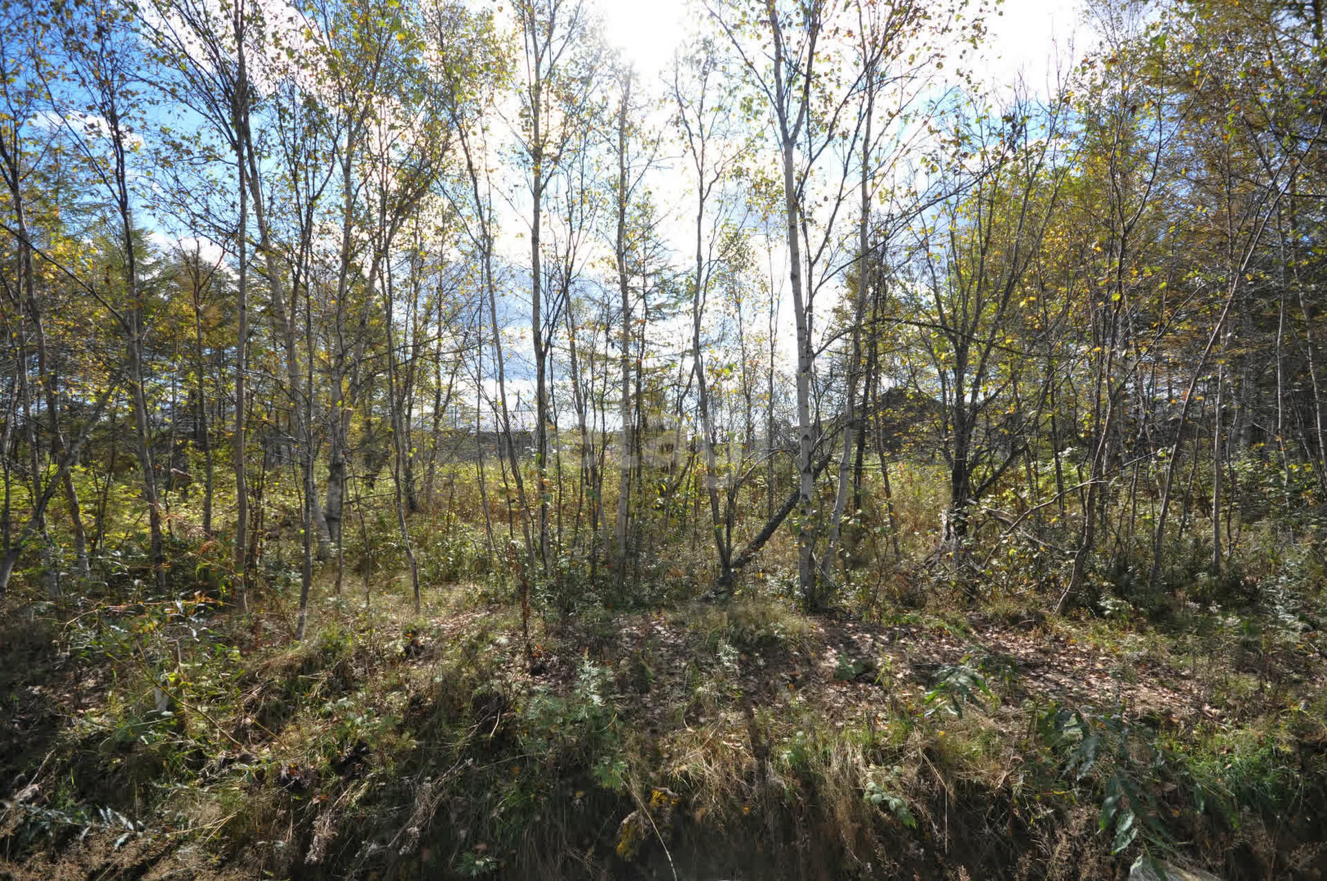 Продажа участка, Южно-Сахалинск, Сахалинская область,  Южно-Сахалинск