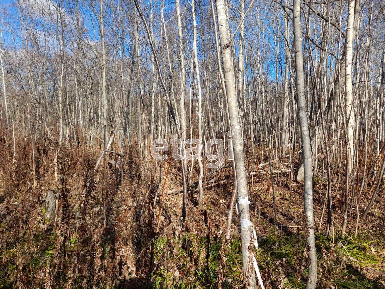 Продажа участка, Южно-Сахалинск, Сахалинская область,  