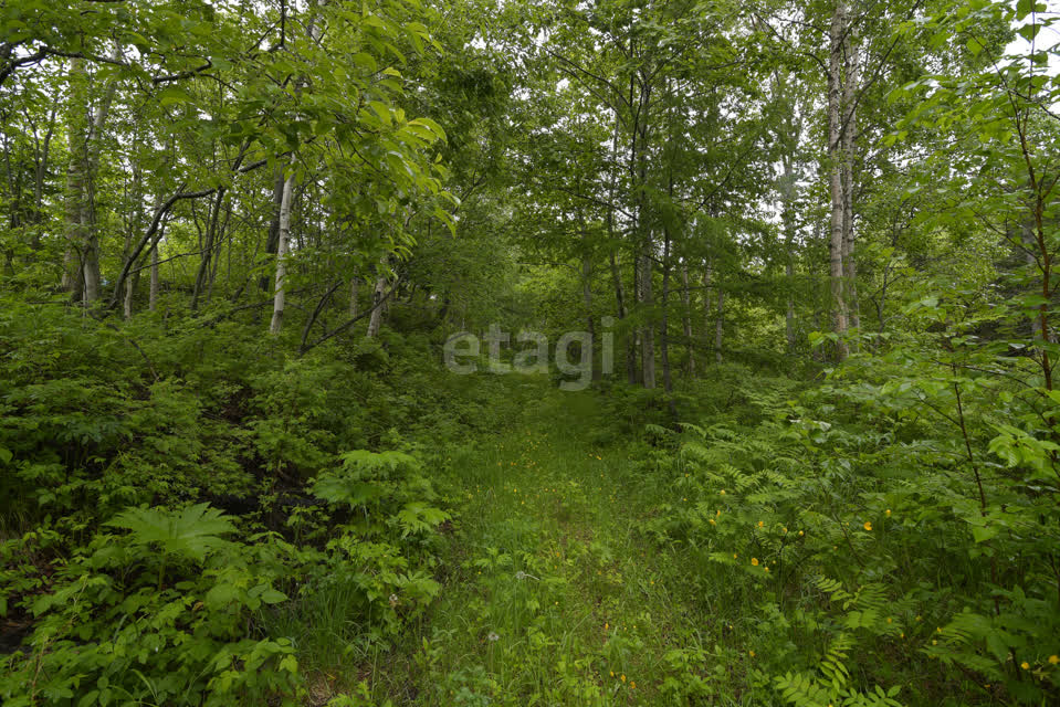 Продажа участка, Южно-Сахалинск, Сахалинская область,  Южно-Сахалинск