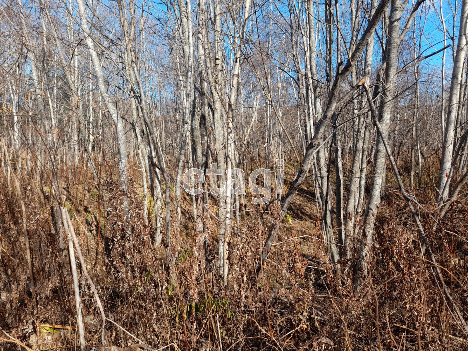 Продажа участка, Южно-Сахалинск, Сахалинская область,  