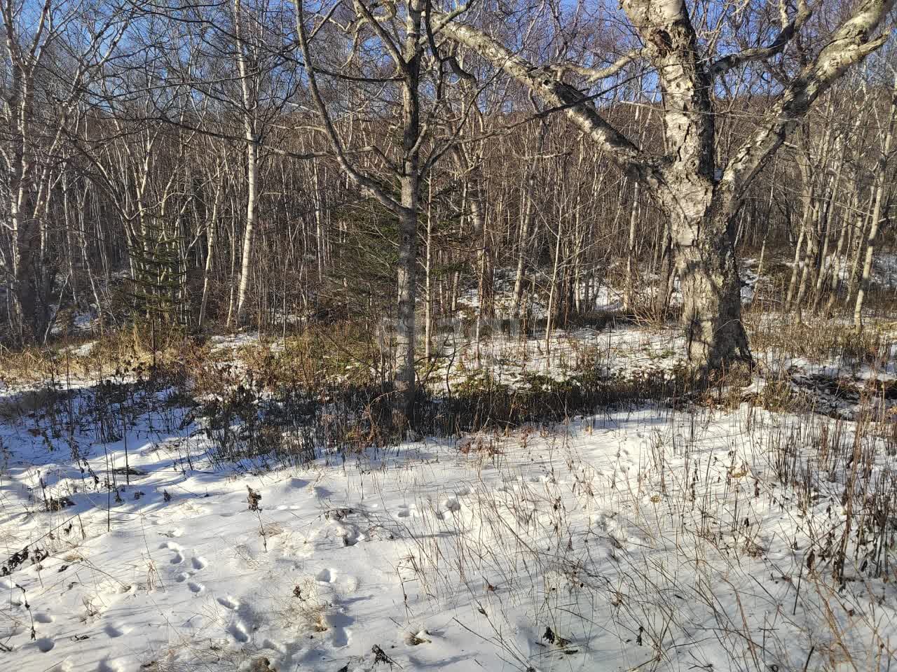 Продажа участка, Южно-Сахалинск, Сахалинская область,  Южно-Сахалинск