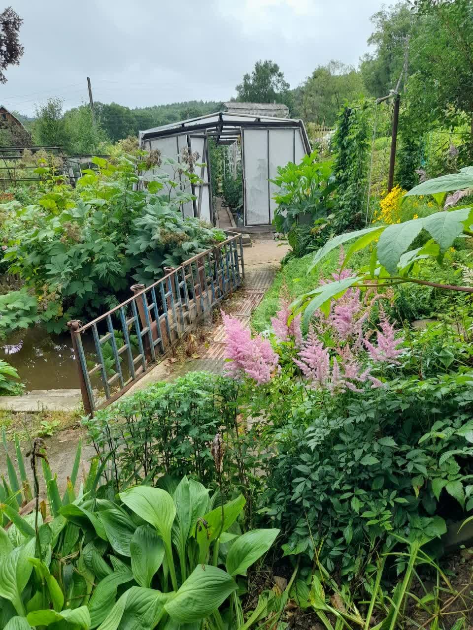 Продажа участка, Южно-Сахалинск, Сахалинская область,  