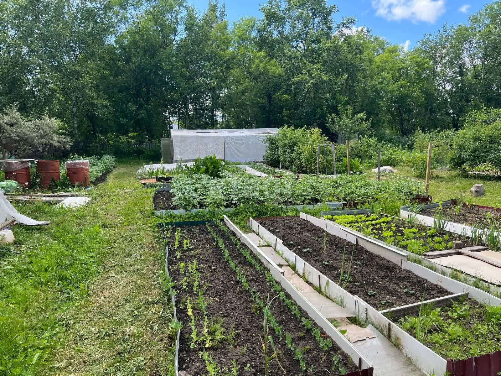 Продажа дачи, 20м <sup>2</sup>, 18 сот., Южно-Сахалинск, Сахалинская область,  Южно-Сахалинск