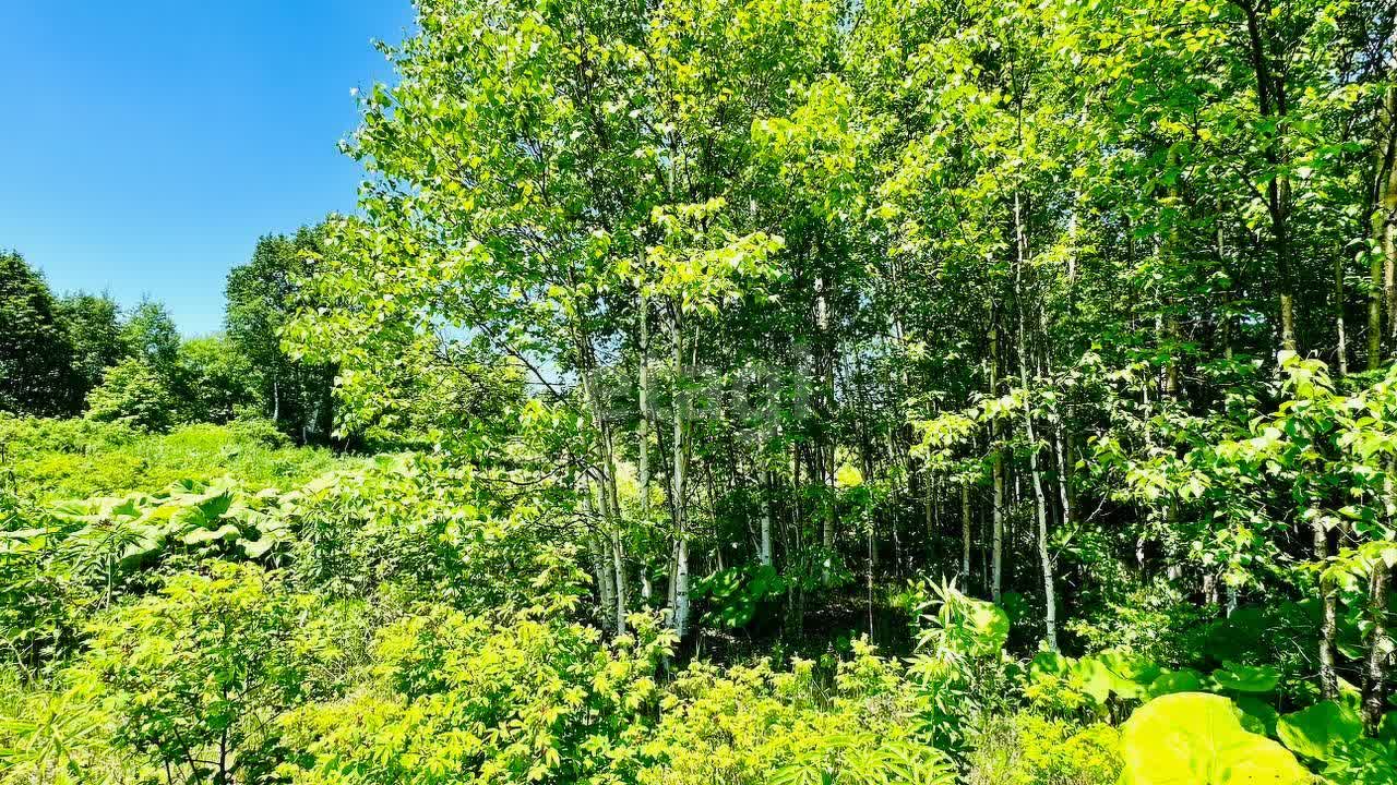 Продажа участка, Южно-Сахалинск, Сахалинская область,  