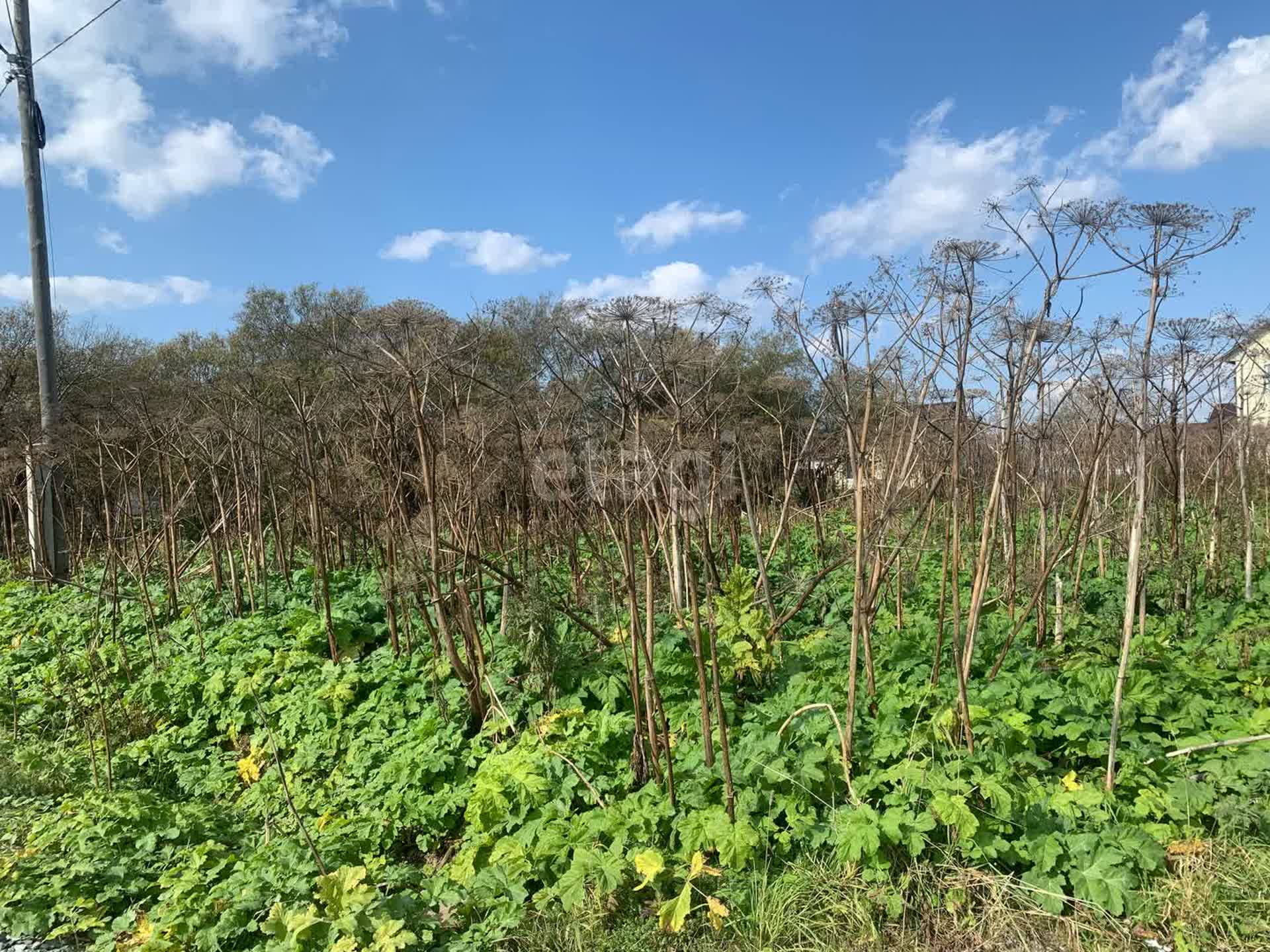 Продажа участка, Южно-Сахалинск, Сахалинская область,  