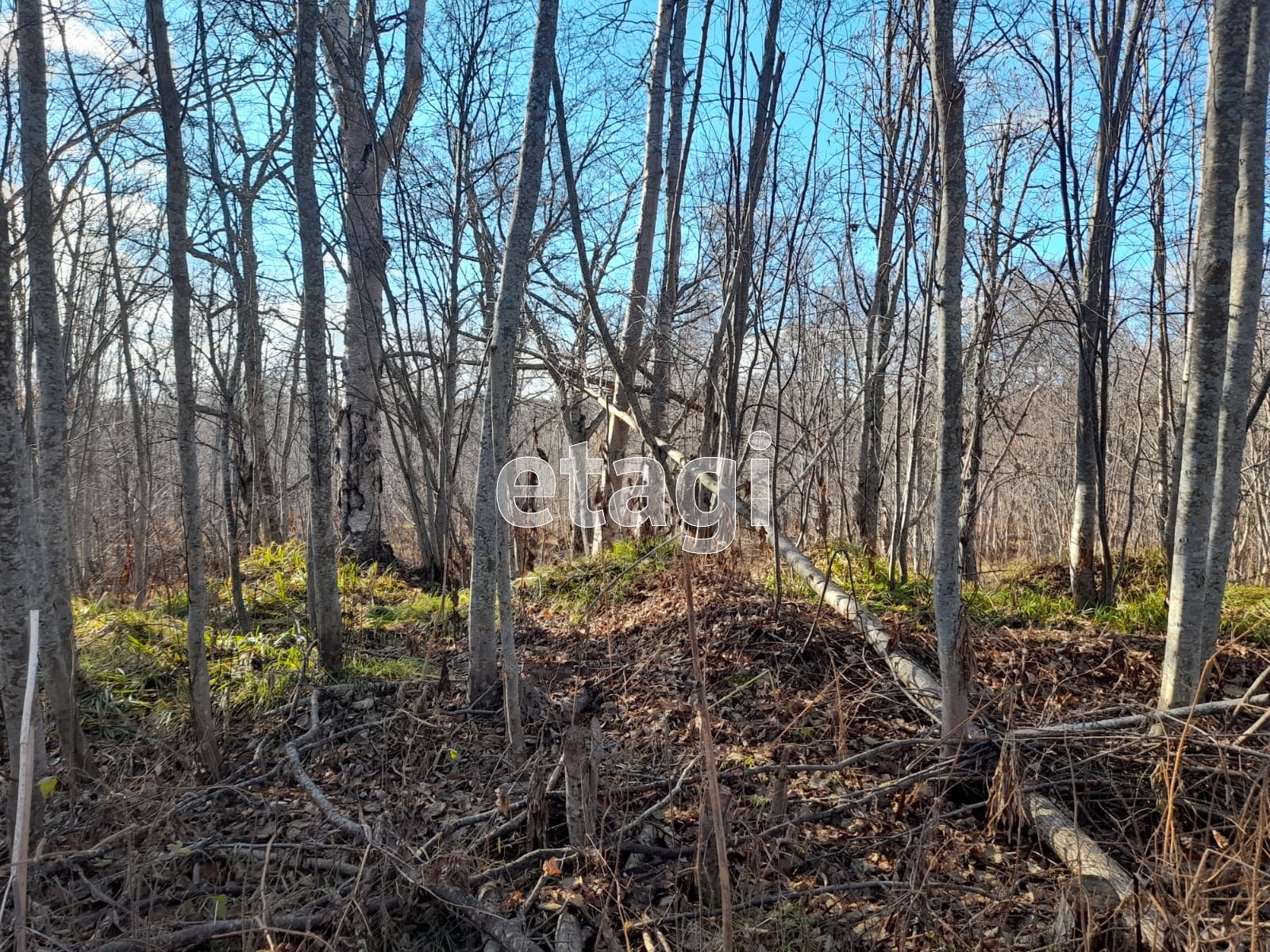 Продажа участка, Южно-Сахалинск, Сахалинская область,  