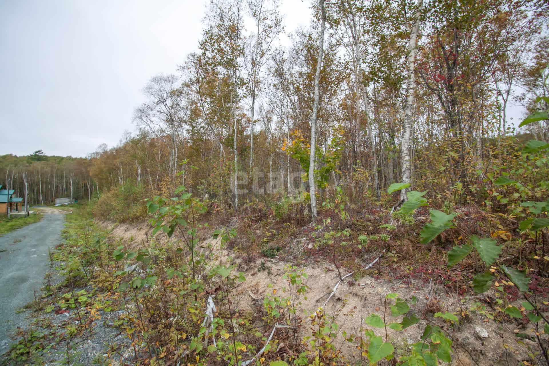 Продажа участка, Южно-Сахалинск, Сахалинская область,  