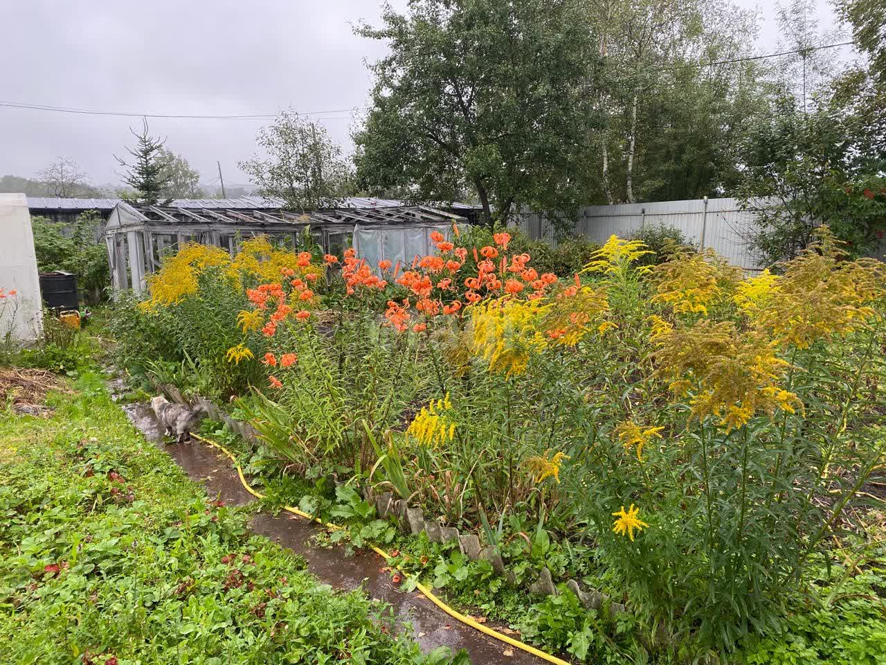 Продажа дачи, 40м <sup>2</sup>, 13 сот., Южно-Сахалинск, Сахалинская область,  Южно-Сахалинск