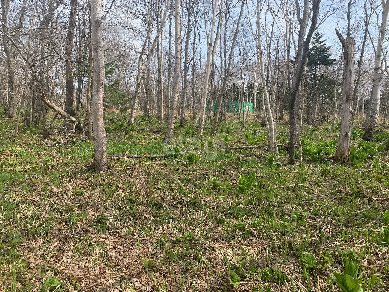 Продажа участка, Южно-Сахалинск, Сахалинская область,  Южно-Сахалинск