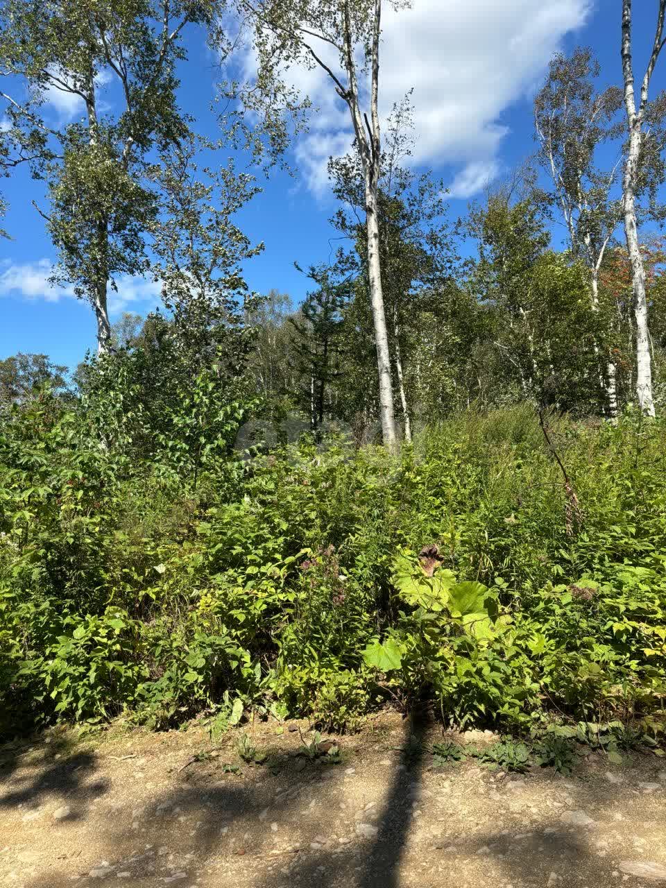 Продажа участка, Южно-Сахалинск, Сахалинская область,  