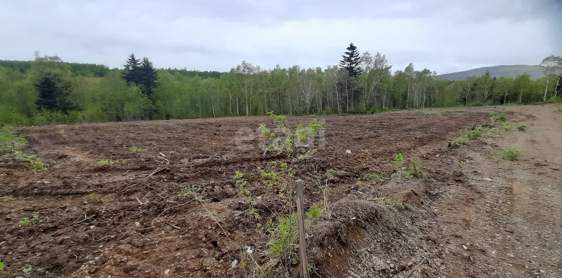 Продажа участка, Южно-Сахалинск, Сахалинская область,  