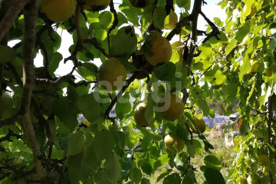 Продажа участка, Южно-Сахалинск, Сахалинская область,  Южно-Сахалинск