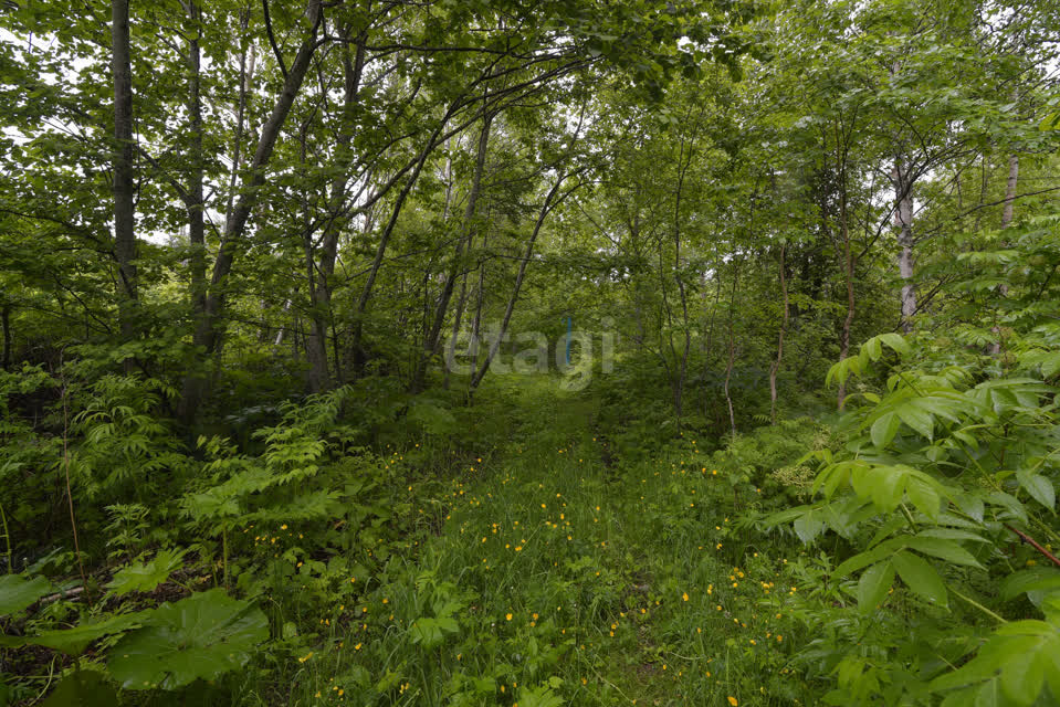 Продажа участка, Южно-Сахалинск, Сахалинская область,  Южно-Сахалинск