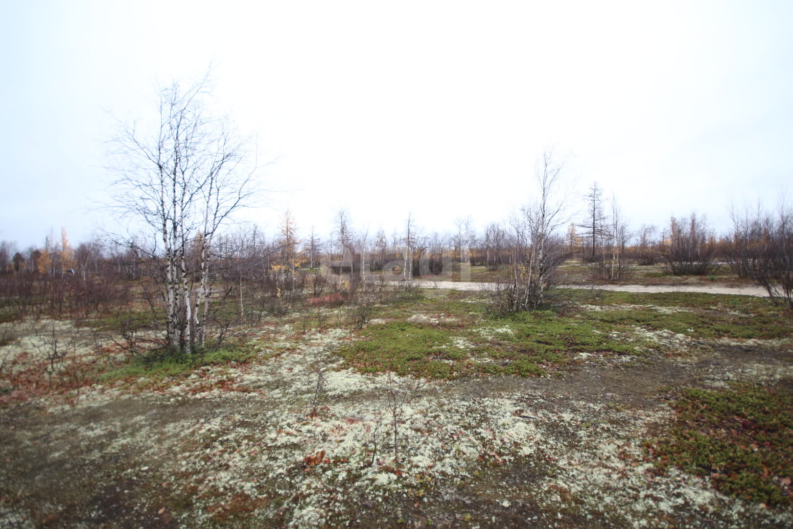 Продажа участка, Новый Уренгой, Ямало-Ненецкий АО,  Северная часть 