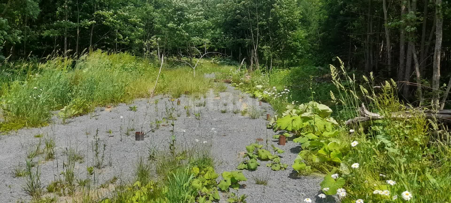 Продажа участка, Южно-Сахалинск, Сахалинская область,  Южно-Сахалинск