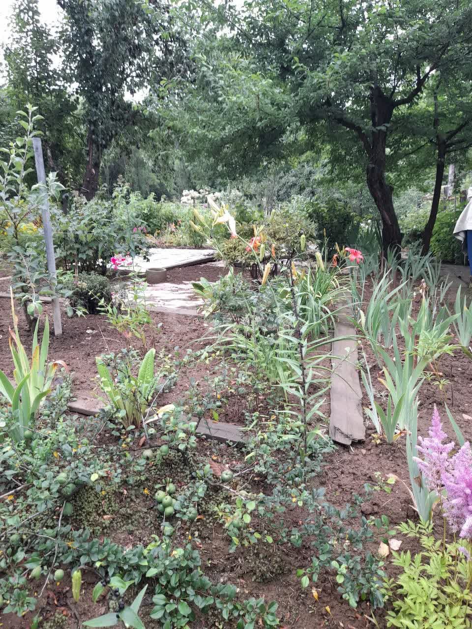 Продажа участка, Южно-Сахалинск, Сахалинская область,  