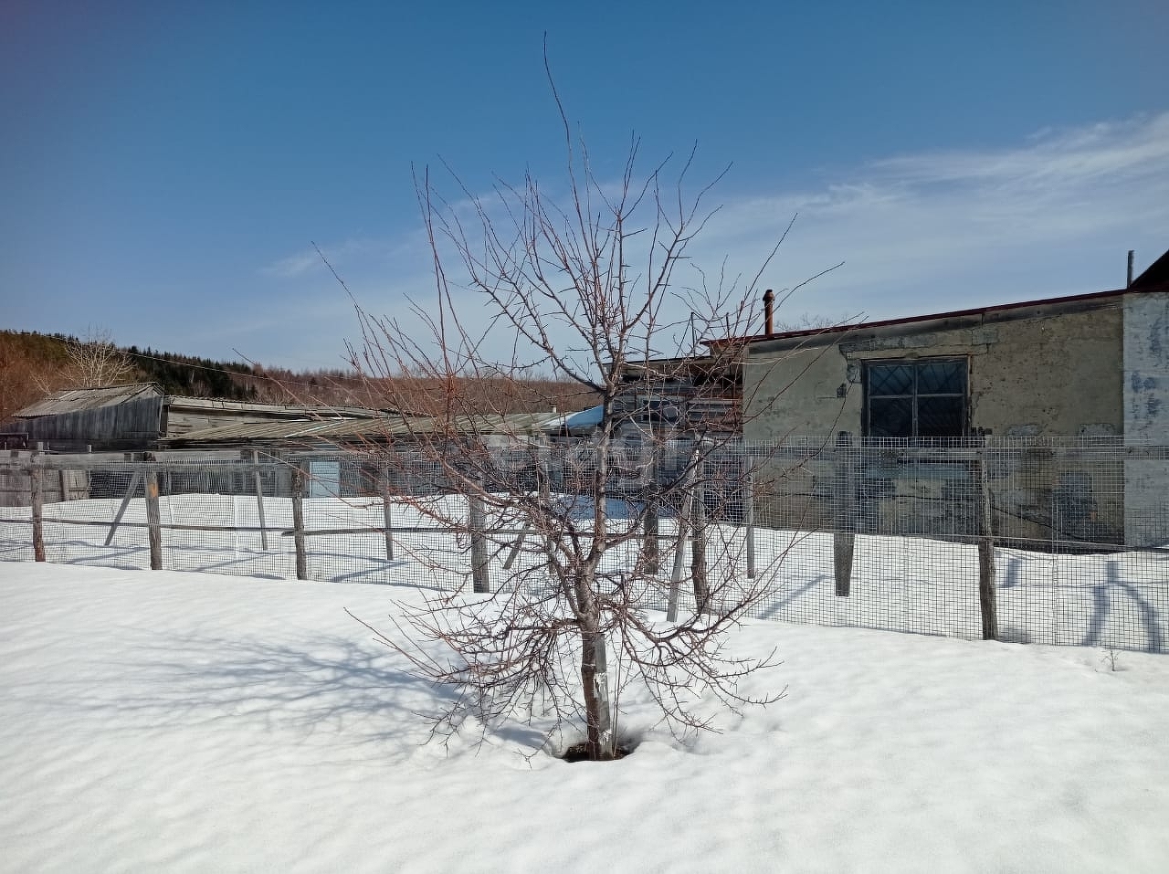 Продажа дома, 219м <sup>2</sup>, 29 сот., Южно-Сахалинск, Сахалинская область,  Южно-Сахалинск