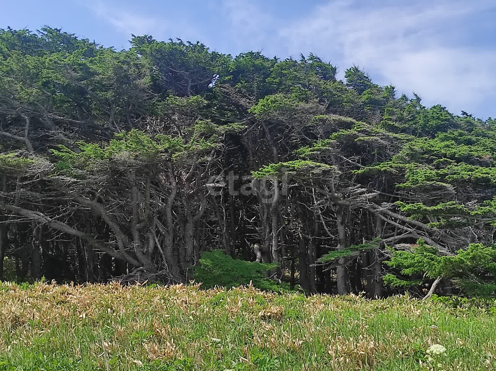 Продажа участка, Южно-Сахалинск, Сахалинская область,  Южно-Сахалинск