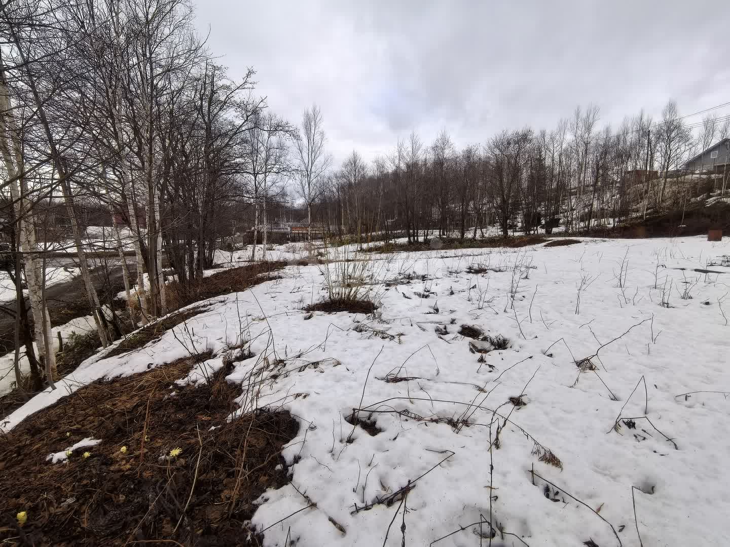 Продажа участка, Южно-Сахалинск, Сахалинская область,  