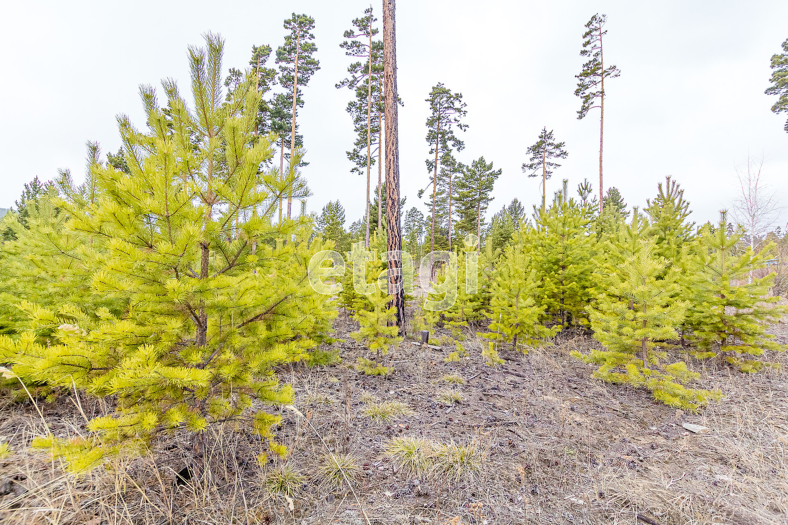 Продажа участка, Улан-Удэ, Республика Бурятия,  Октябрьский