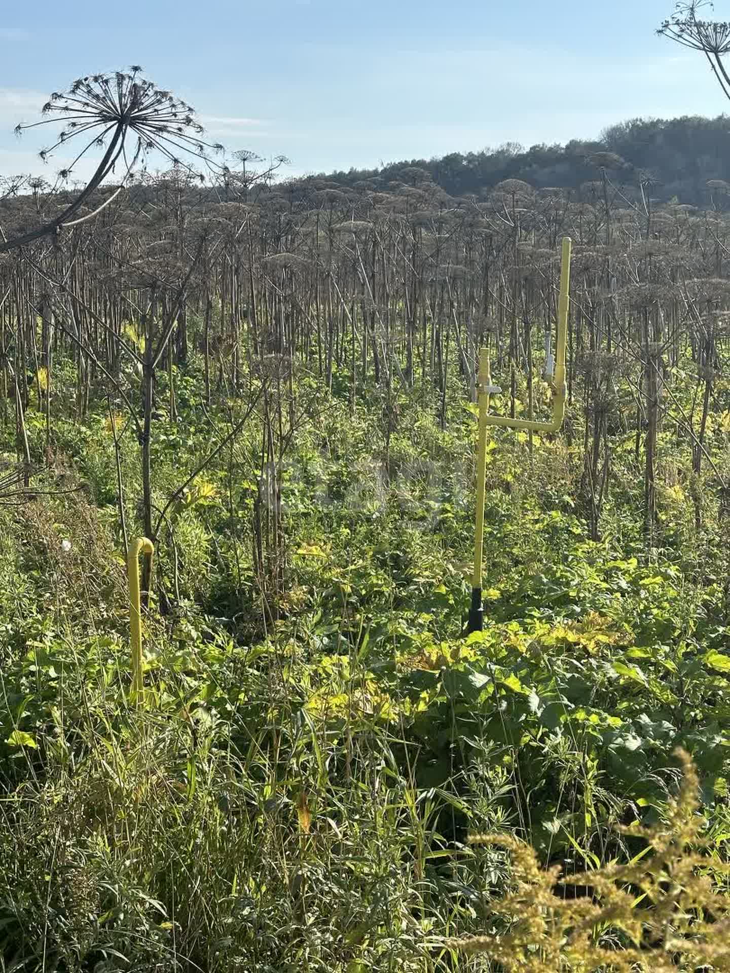 Продажа участка, Южно-Сахалинск, Сахалинская область,  
