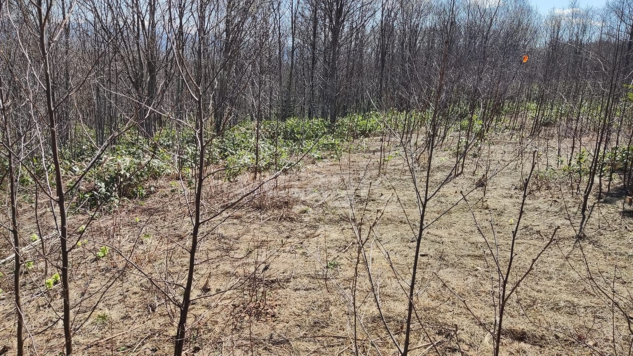 Продажа участка, Южно-Сахалинск, Сахалинская область,  Южно-Сахалинск