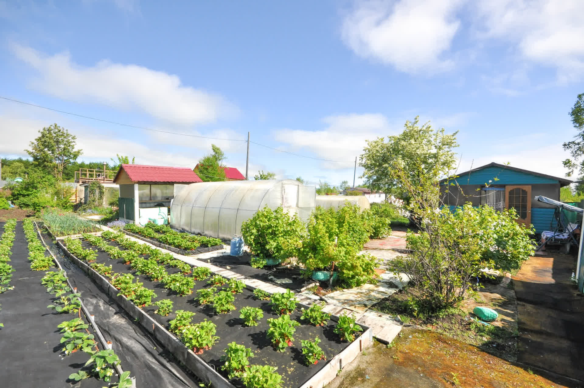 Продажа дачи, 21м <sup>2</sup>, 12 сот., Южно-Сахалинск, Сахалинская область,  Южно-Сахалинск