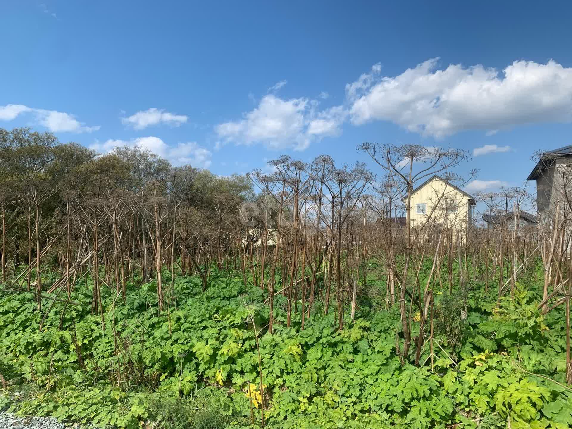 Продажа участка, Южно-Сахалинск, Сахалинская область,  