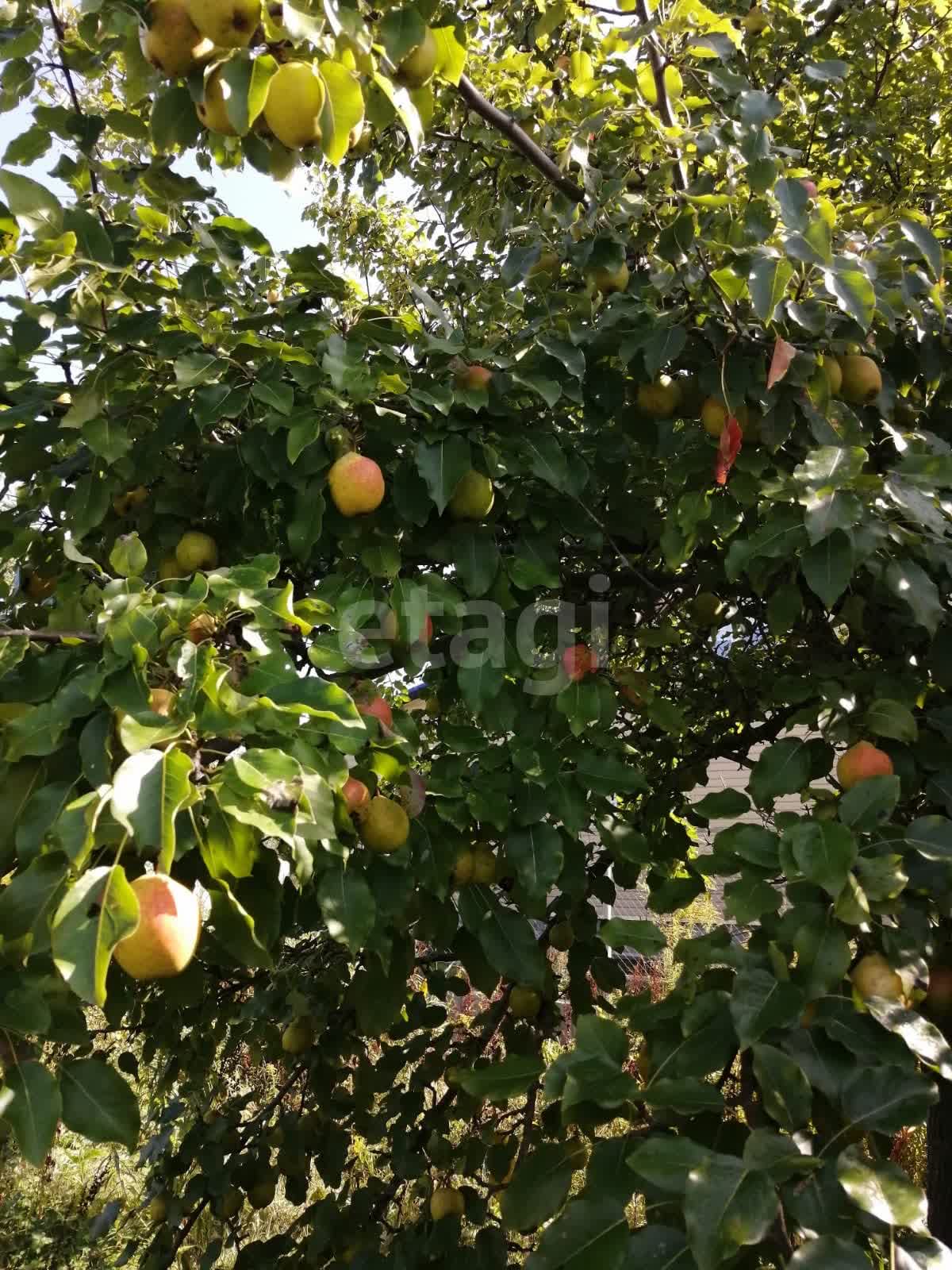 Продажа дачи, 30м <sup>2</sup>, 7 сот., Южно-Сахалинск, Сахалинская область,  