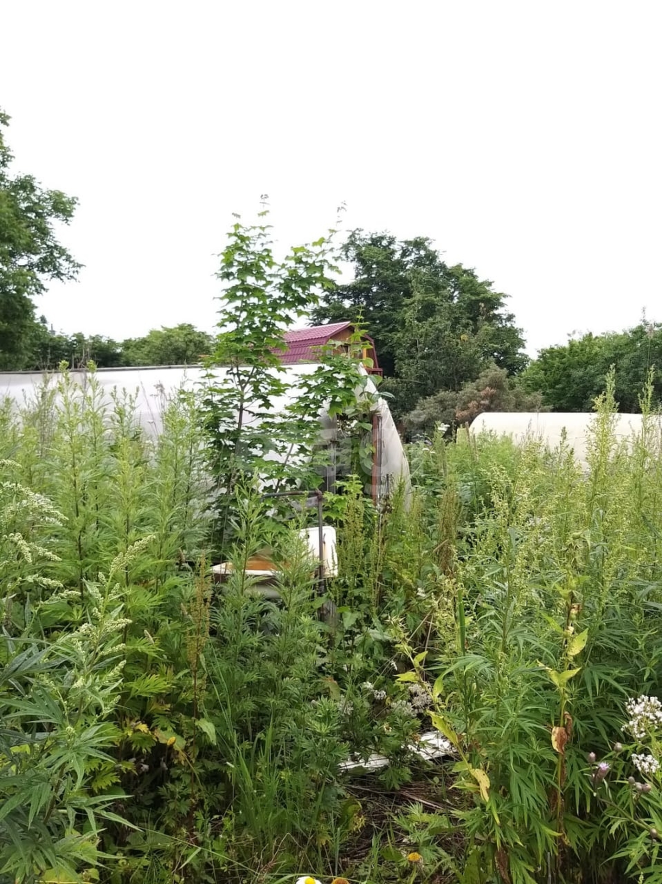 Продажа участка, Южно-Сахалинск, Сахалинская область,  