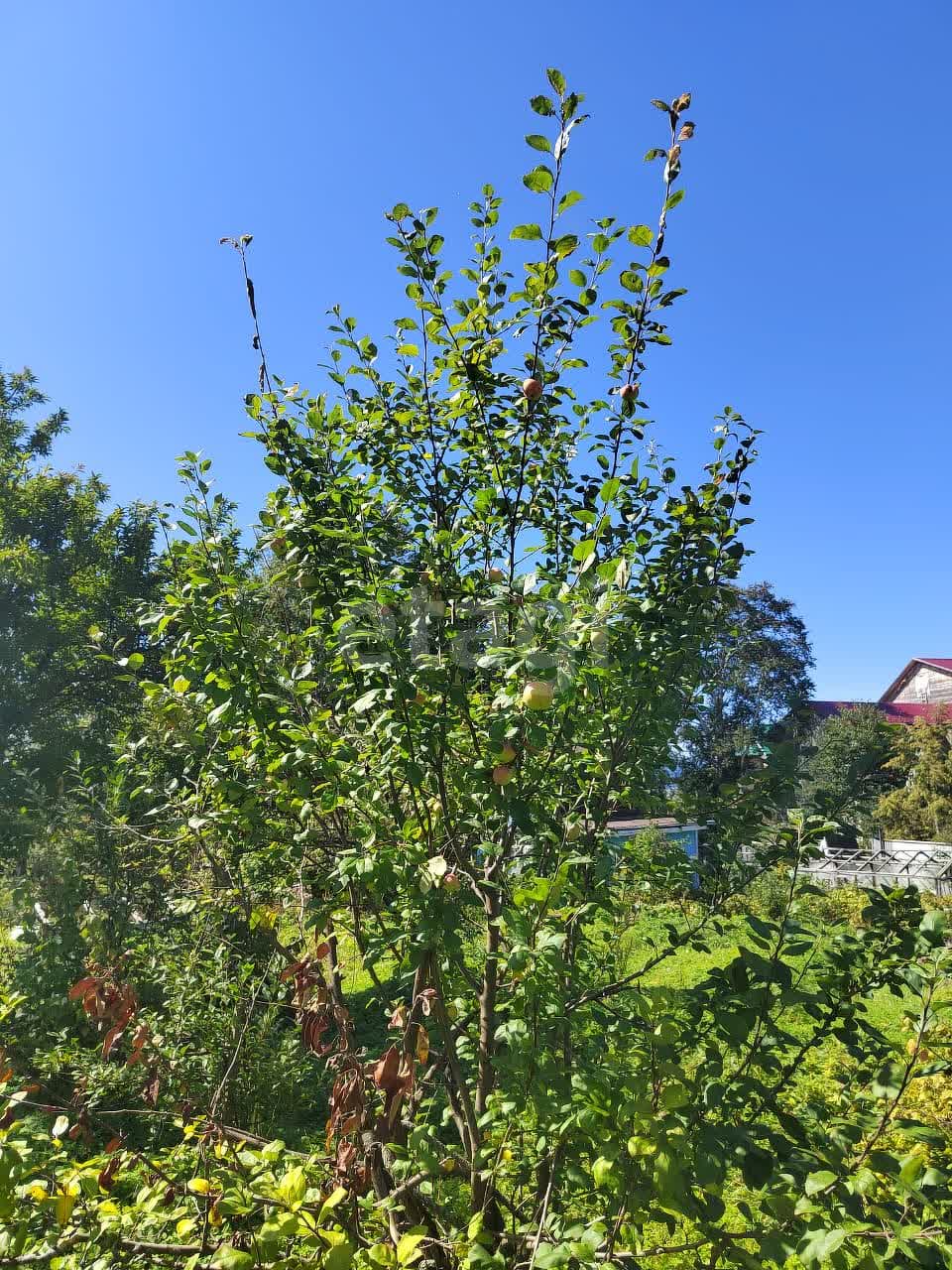 Продажа участка, Южно-Сахалинск, Сахалинская область,  Южно-Сахалинск