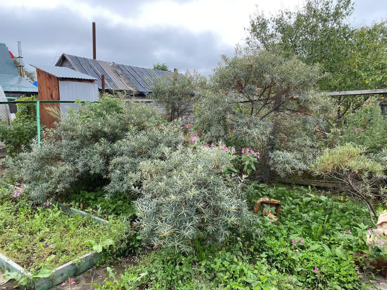 Продажа дома, 60м <sup>2</sup>, 6 сот., Южно-Сахалинск, Сахалинская область,  