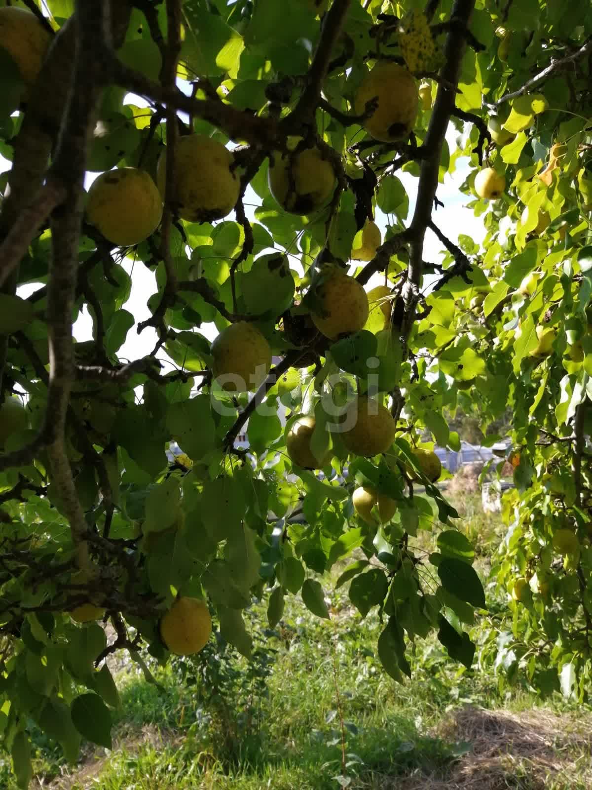 Продажа дачи, 30м <sup>2</sup>, 7 сот., Южно-Сахалинск, Сахалинская область,  