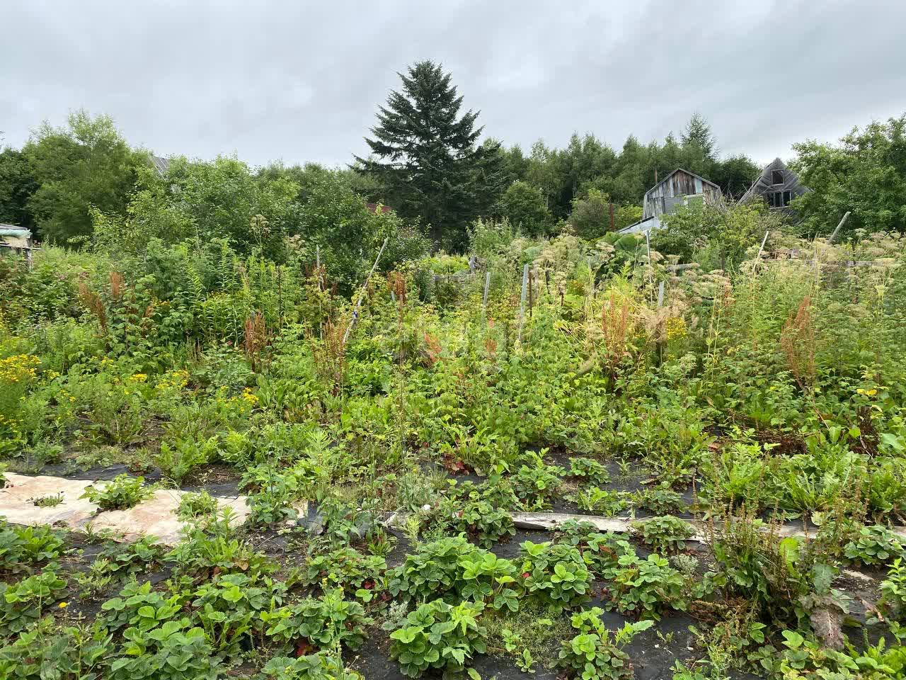 Продажа дачи, 20м <sup>2</sup>, 11 сот., Южно-Сахалинск, Сахалинская область,  Южно-Сахалинск