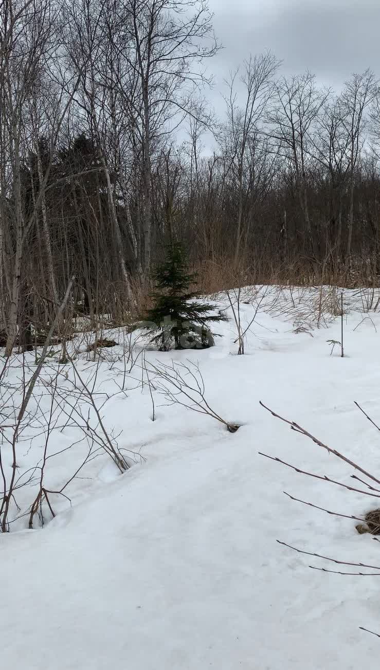 Продажа участка, Южно-Сахалинск, Сахалинская область,  