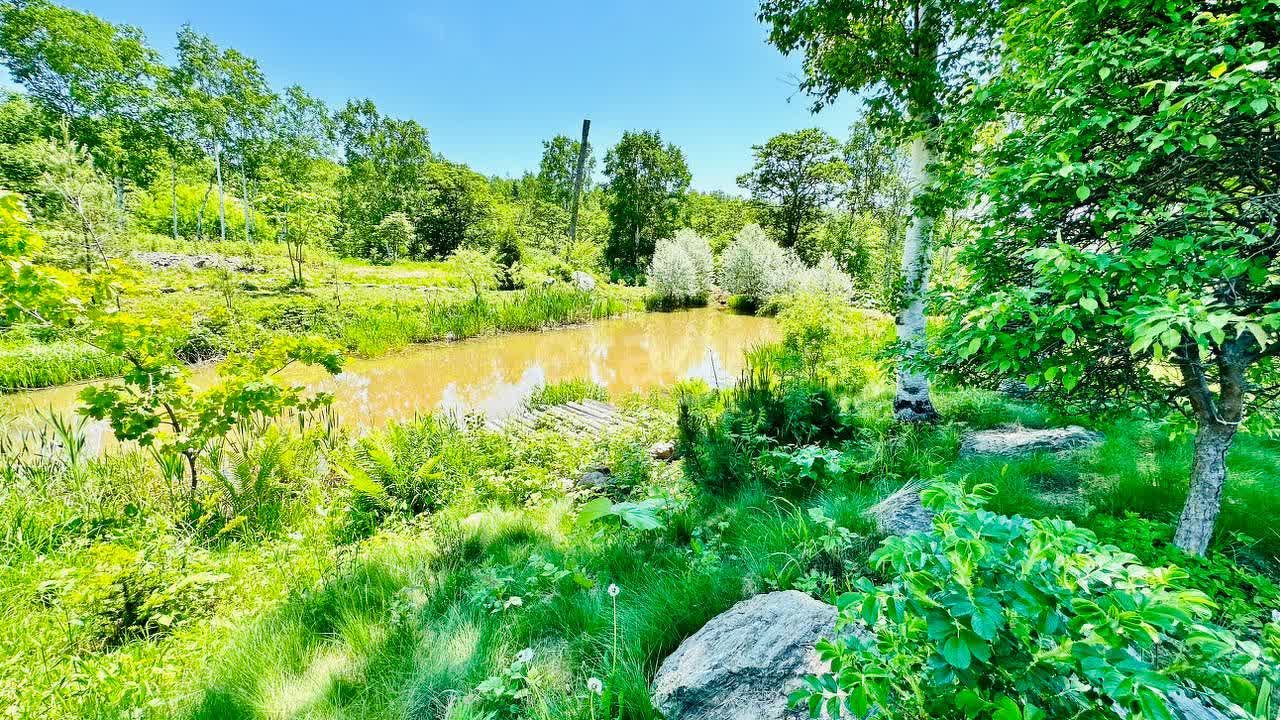 Продажа участка, Южно-Сахалинск, Сахалинская область,  