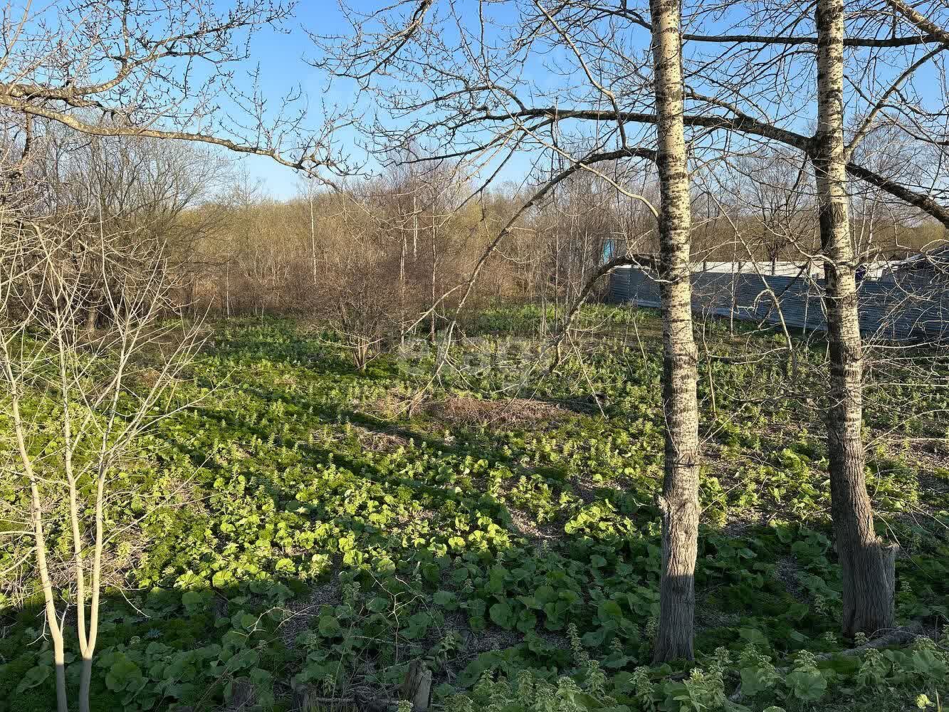 Продажа участка, Южно-Сахалинск, Сахалинская область,  