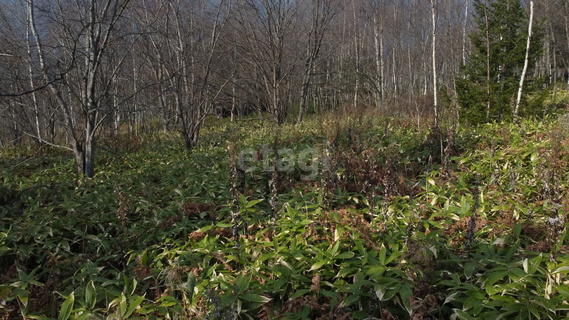 Продажа участка, Южно-Сахалинск, Сахалинская область,  Южно-Сахалинск