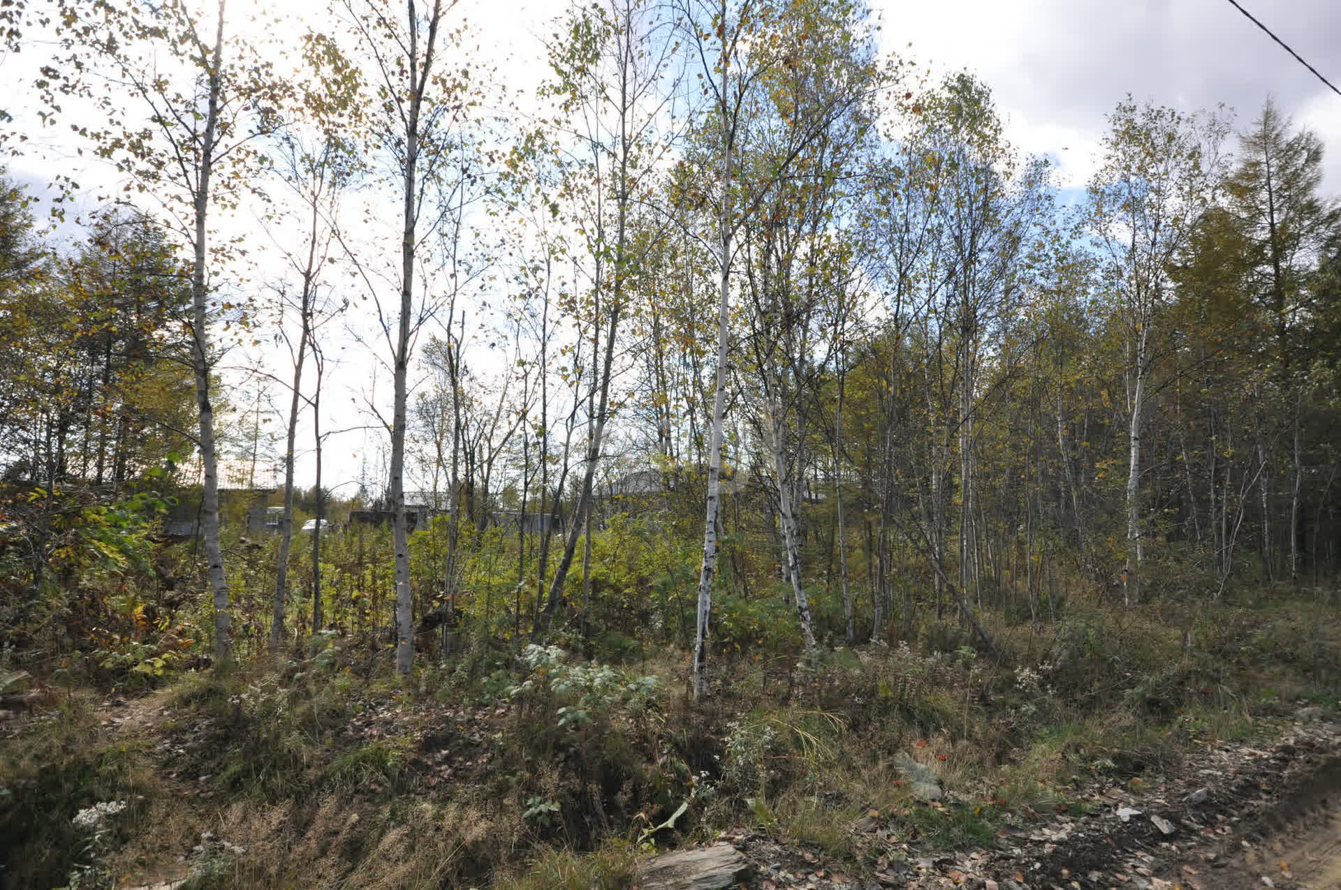 Продажа участка, Южно-Сахалинск, Сахалинская область,  Южно-Сахалинск