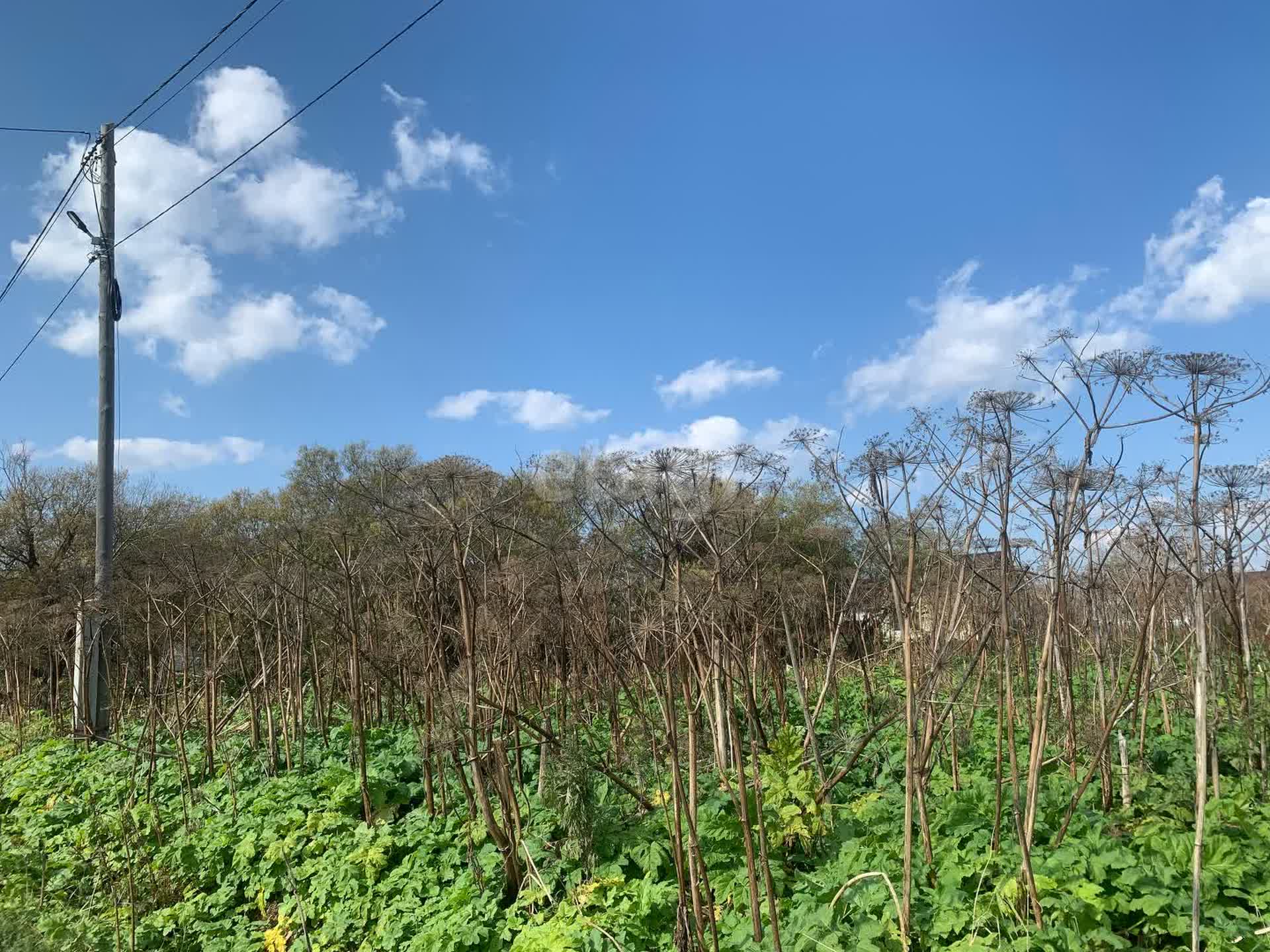 Продажа участка, Южно-Сахалинск, Сахалинская область,  