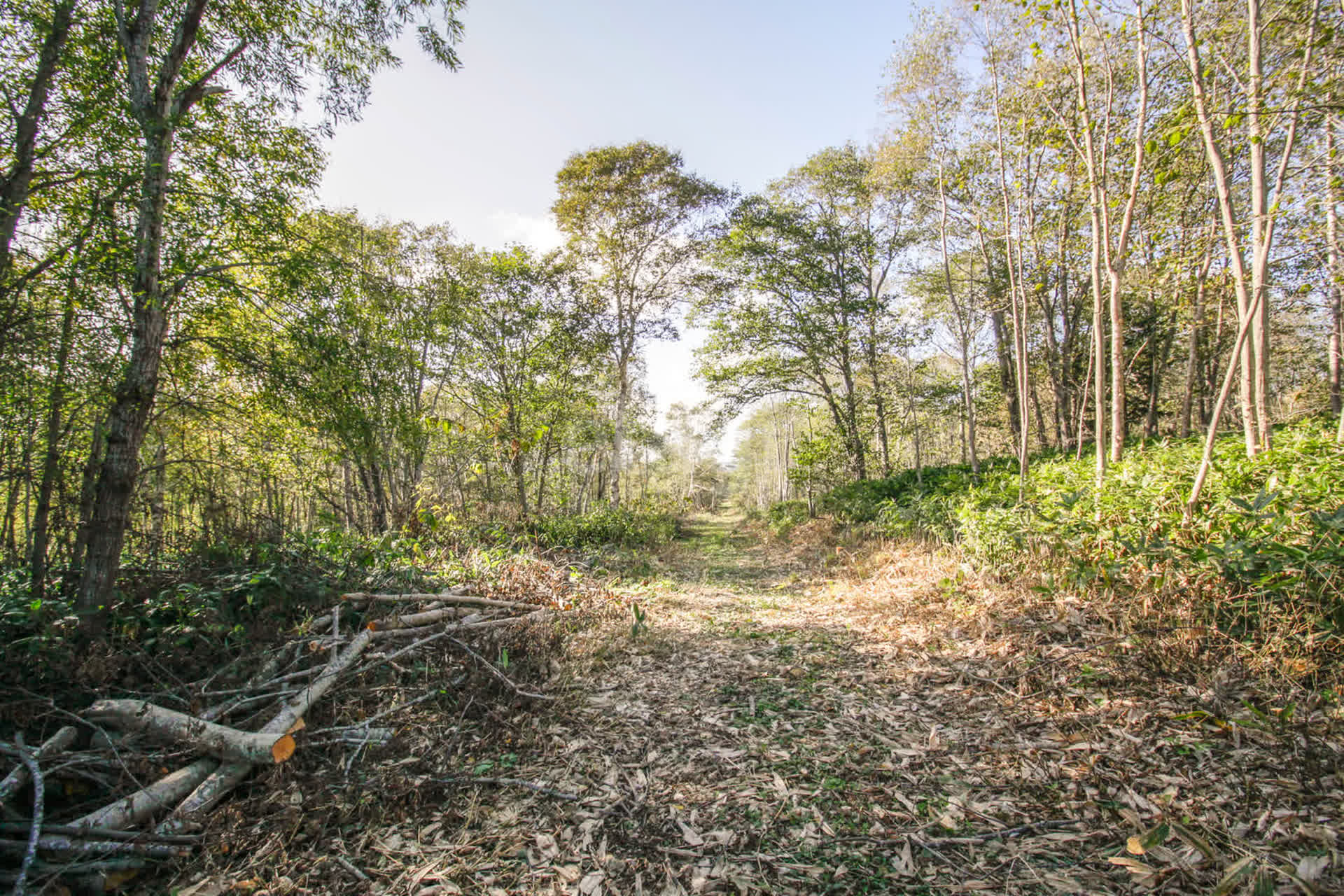 Продажа участка, Южно-Сахалинск, Сахалинская область,  Южно-Сахалинск