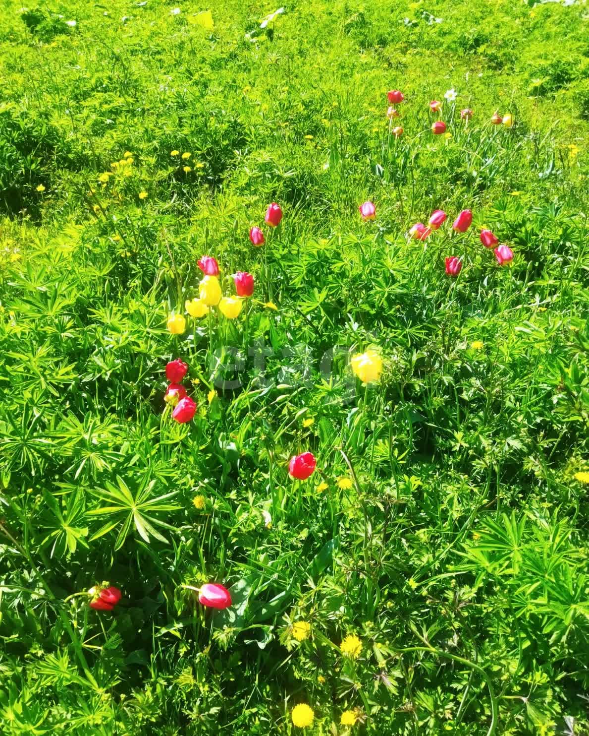 Продажа участка, Южно-Сахалинск, Сахалинская область,  Южно-Сахалинск