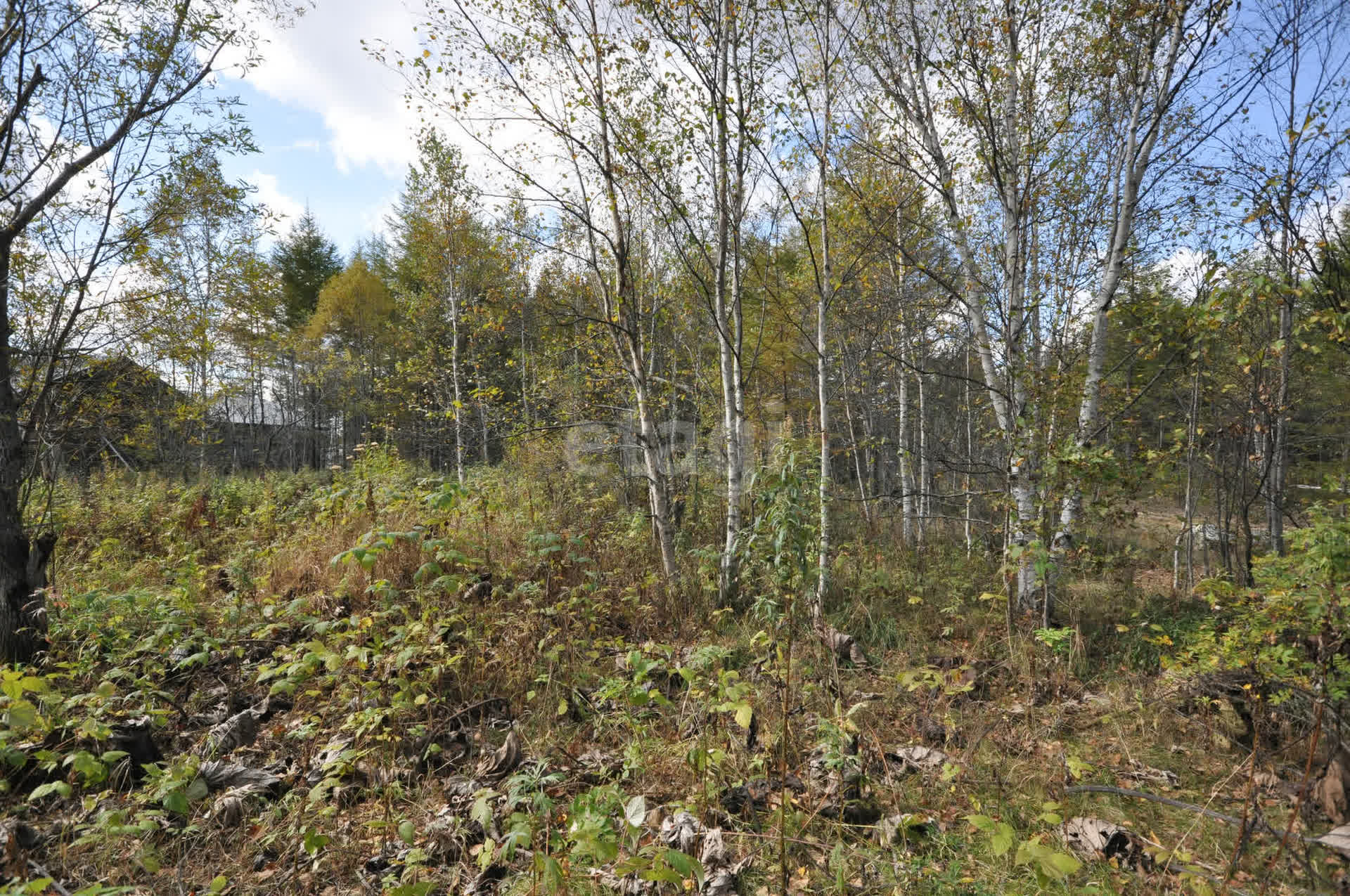 Продажа участка, Южно-Сахалинск, Сахалинская область,  Южно-Сахалинск