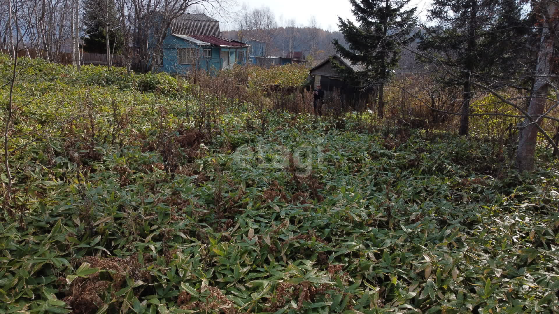 Продажа участка, Южно-Сахалинск, Сахалинская область,  Южно-Сахалинск